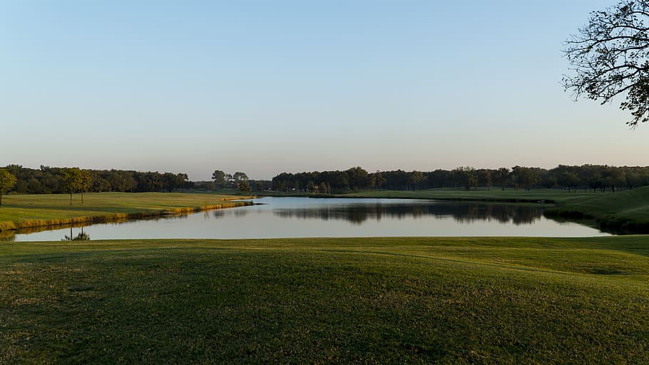 golf, golf course, golfing, green, grass, field, golfers, nature, landscape, putting