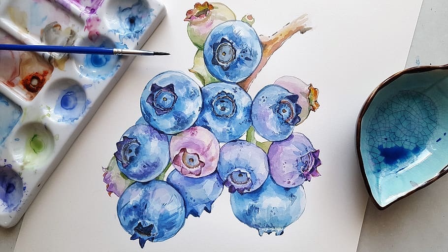 blueberries, fruit, meal, painting, berry, watercolor, brush, a variety of, blue, your watercolor