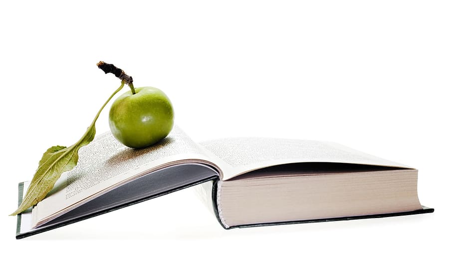 apple, back, book, building, business, close-up, collection, copy, data, eating