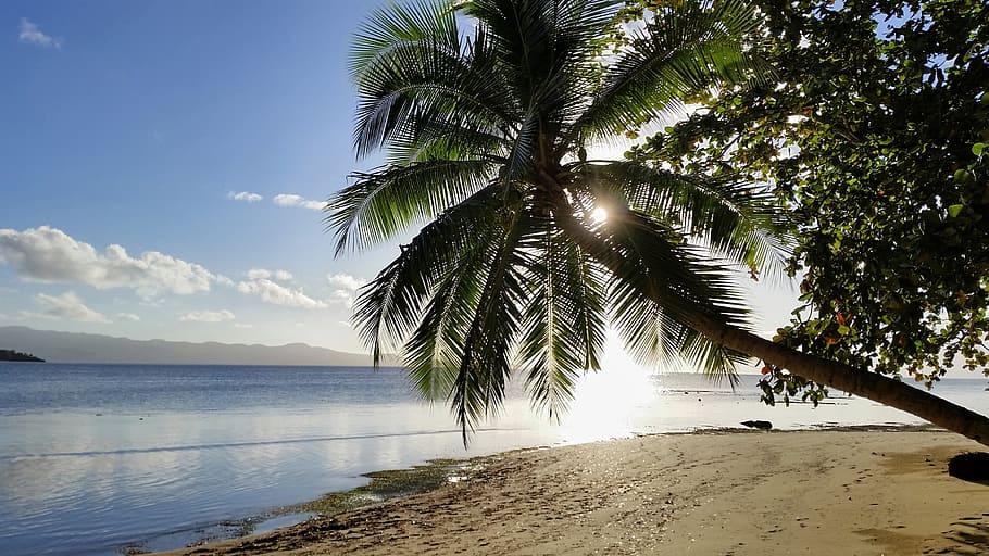 fiji, nature, of the fiji islands, beach, sun, clouds, palm, pacific, south sea, travel