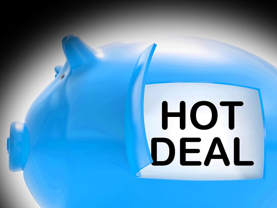 hot, deal, piggy, bank, message, meaning, best, price, quality, bargain