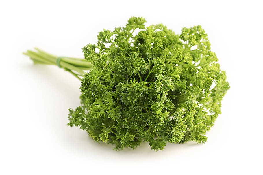 parsley, green, herbs, ingredient, food and drink, green color, food, healthy eating, wellbeing, vegetable