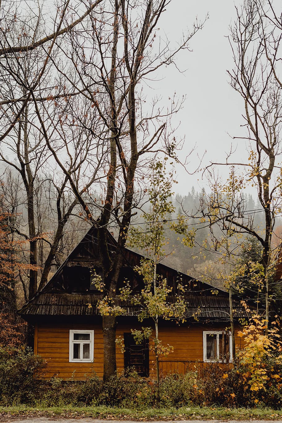 viejo, de madera, casas, montañas, otoño, casa de madera, casa antigua, cabaña, cobertizo, Poronin