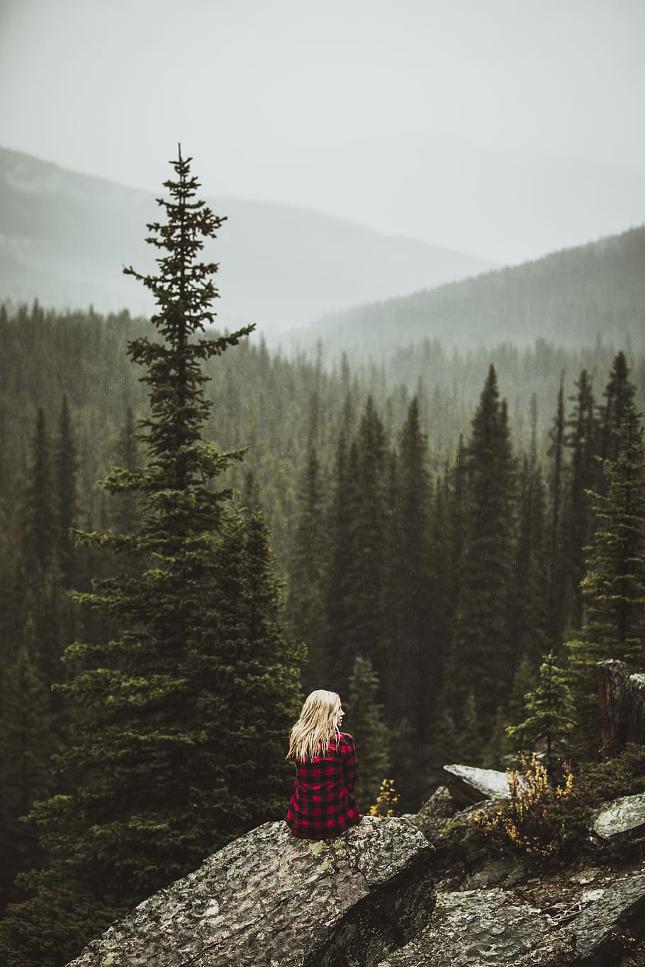 girl, blonde, plaid, flannel, mountains, forest, trees, alberta, nature, earth