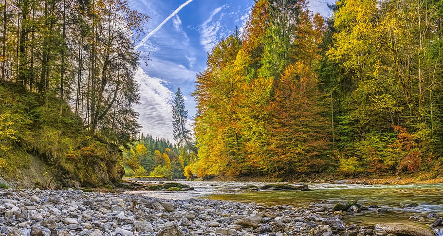ammer, autumn, river, beautiful, hiking, alpine, bavaria, trees, color, farbenpracht