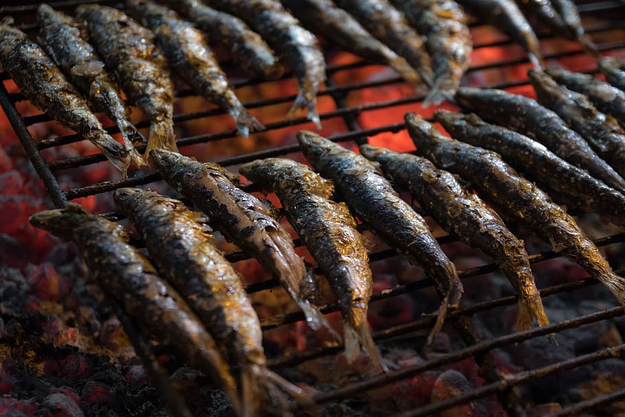 sardines, restaurant, food, fresh, healthy, local, santoña, food and drink, freshness, seafood