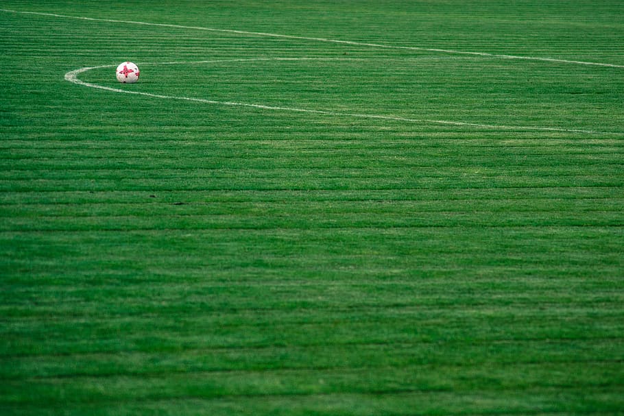 the ball, grass, stadion, the pitch, sport, player, plant, green color, field, land