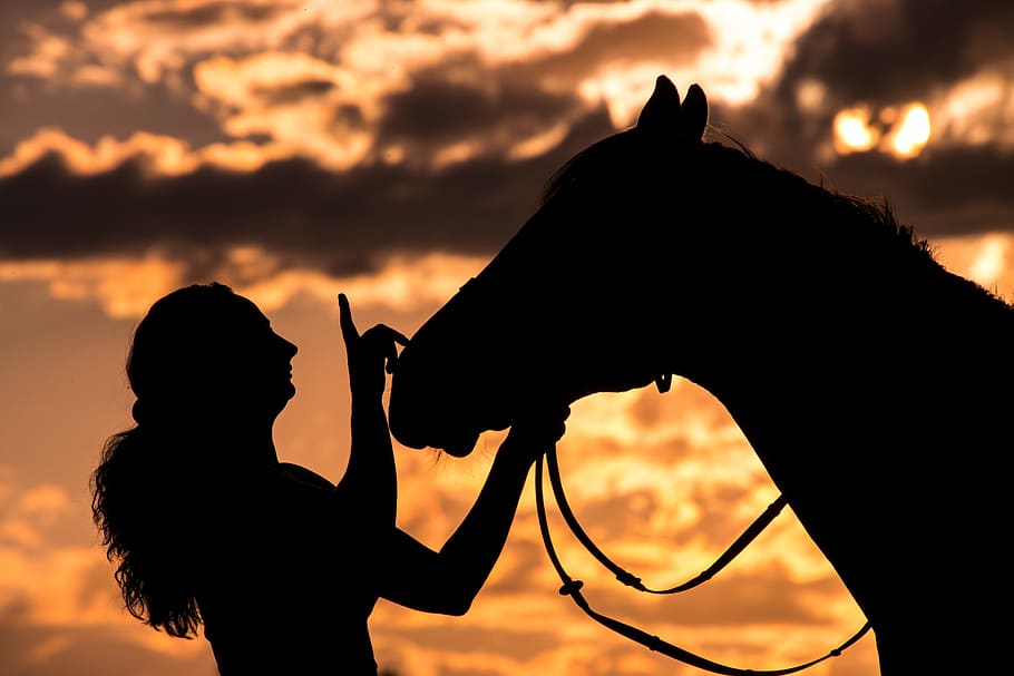 silhueta, mulher, cavalo, animal, sol da tarde, pôr do sol, céus, nuvens, confiança, amor