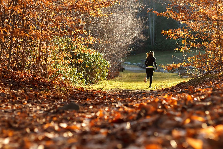 girl, running, forest, autumn, leaves, tree, leaf, plant part, change, one person