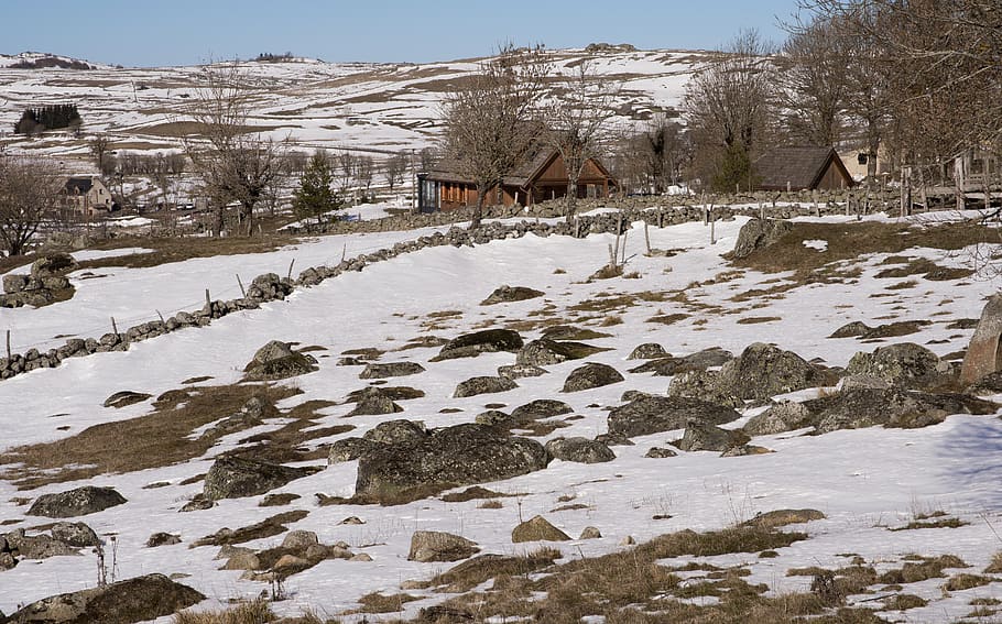 aubrac, hamlet, farm, hill, field, snow, cold temperature, winter, built structure, architecture