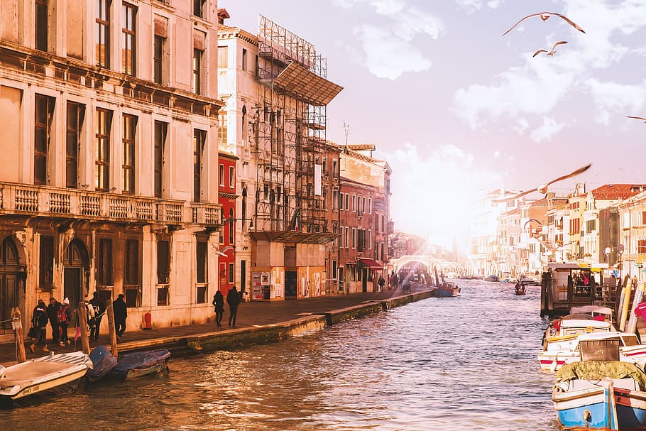 kanal, venesia, matahari, terbang, burung, arsitektur, air, kapal laut, transportasi, eksterior bangunan