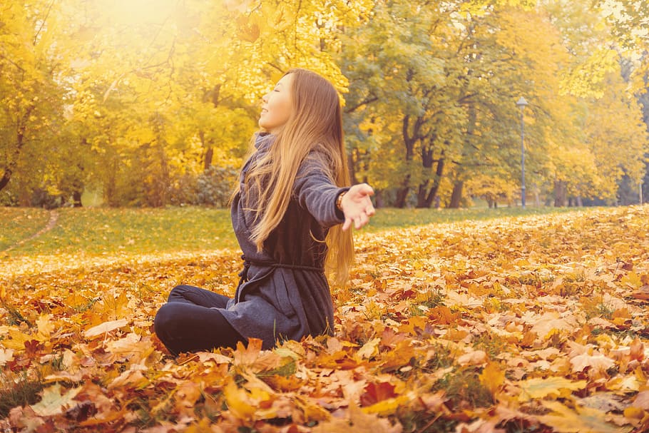 jovem, mulher, sentado, caído, outono, folhas, parque, árvore, folha, parte da planta