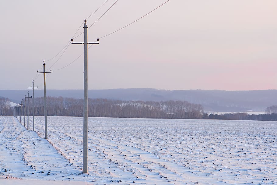 musim dingin, salju, ural, biru, pagi, kabel listrik, listrik, suhu dingin, langit, kabel