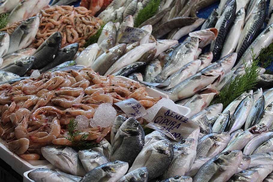 ikan, makanan laut, udang, segar, pasar, konter, untuk dijual, eceran, makanan dan minuman, kesegaran