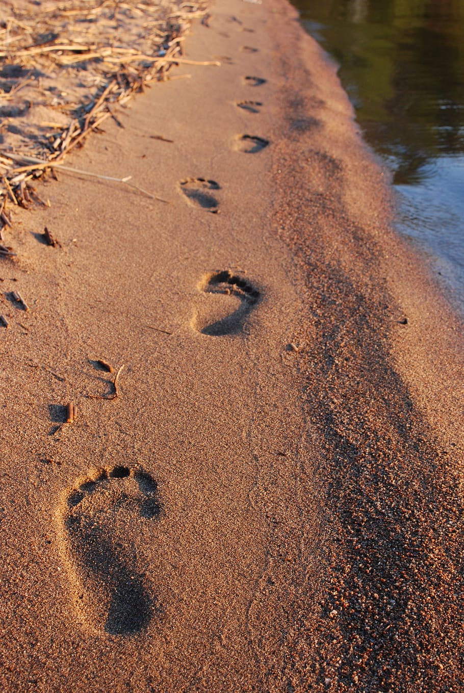 steps, sand, step, beach, footprint, walk, track, sea, nature, foot