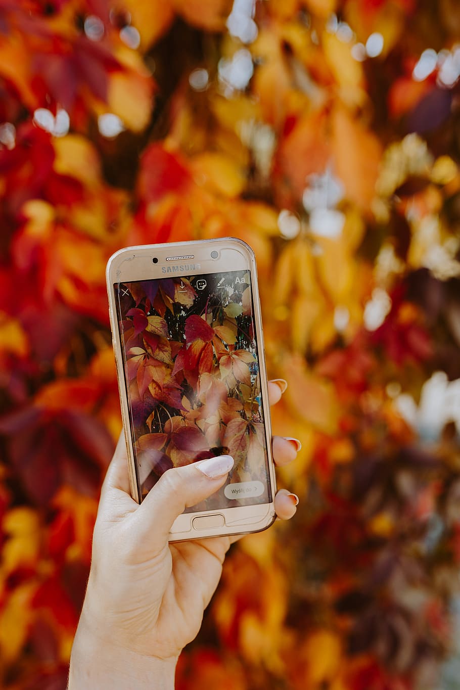 женщина, берет, картина, осень, листья, телефон, мобильная фотография, смартфон, мобильный, samsung