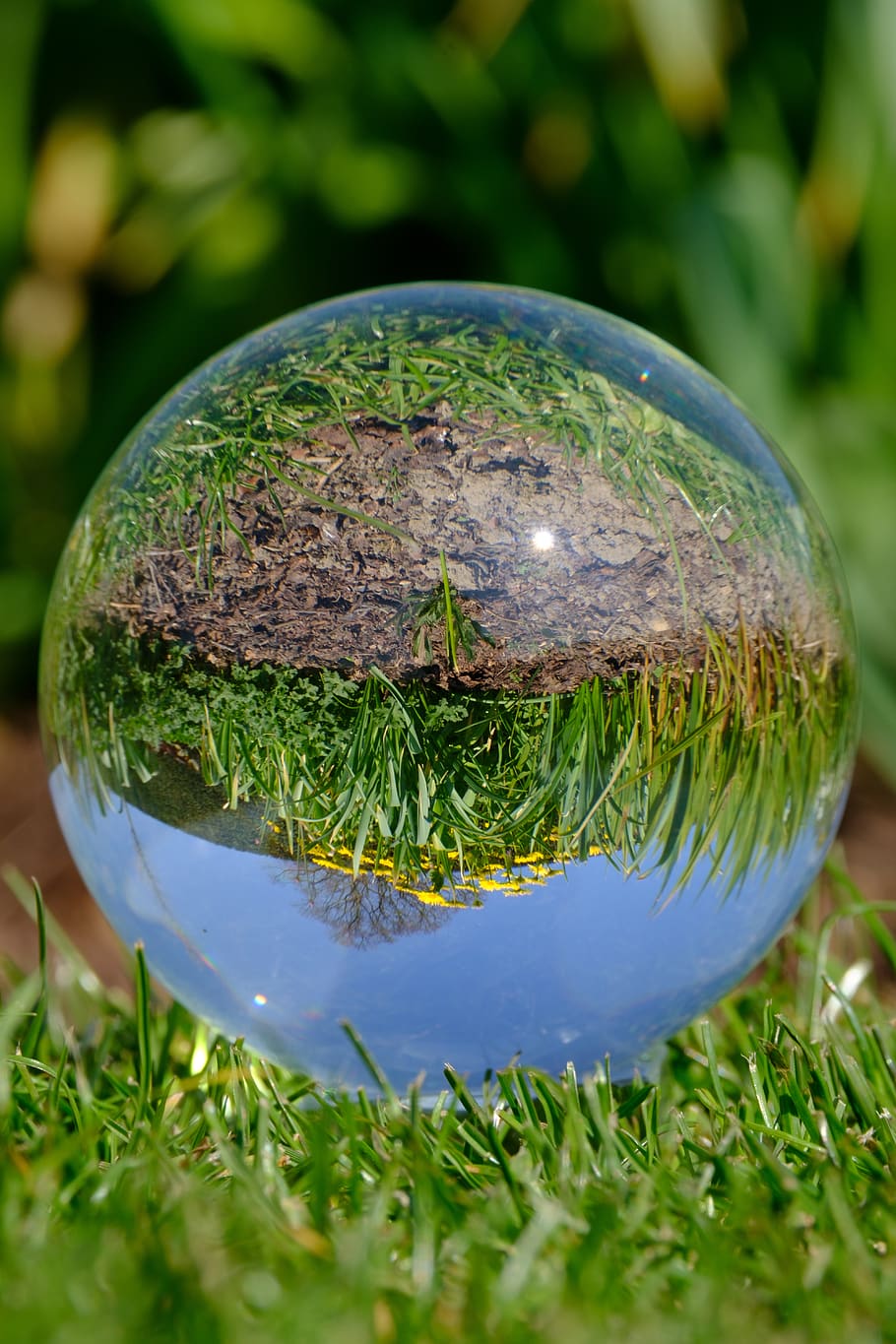 glass orb, photography, crystal ball, grass, flowers, refracted, light, upside down, nature, meadow