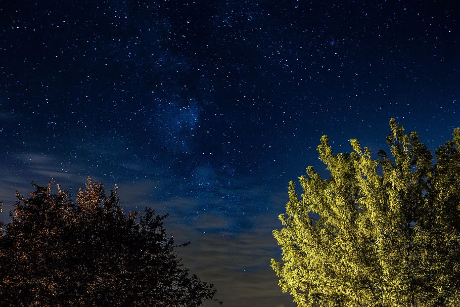 árvores, céu estrelado, natureza, céu, ao ar livre, noite, estrelas, estrelado, noturno, astronomia