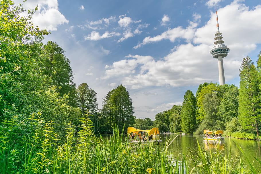 luisenpark, park, mannheim, garden, botanical, tv tower, water, sky, baden württemberg, landscape