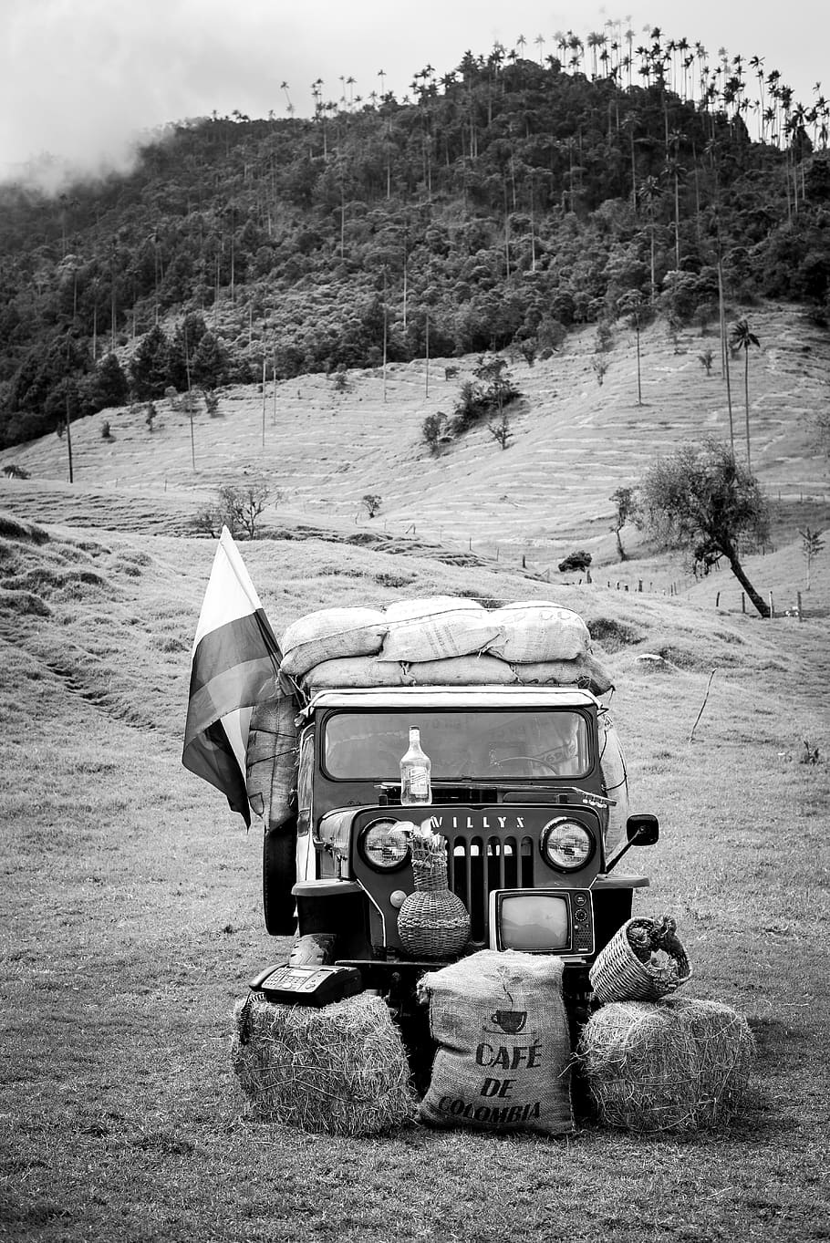 jeep, blanco y negro, campesino, trabajo duro, turismo, colombia, bandera, montaña, palmera, granos de café