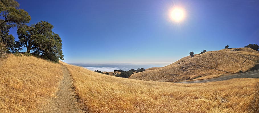 california, ocean, mountain, tamalpais, grass, yellow, gold, sun, sky, oak