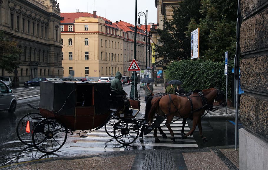 town, old, czech, horse, travel, prague, day, european, urban, wagon