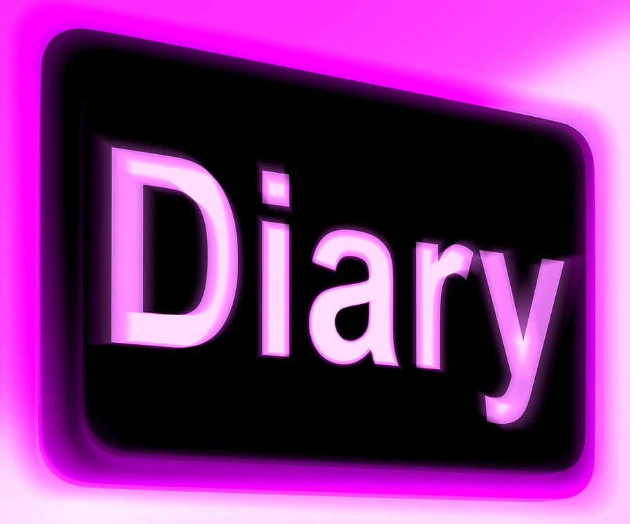 sinal do diário, mostrando, on-line, planejador, programação, nomeação, botão, diário, livro diário, internet