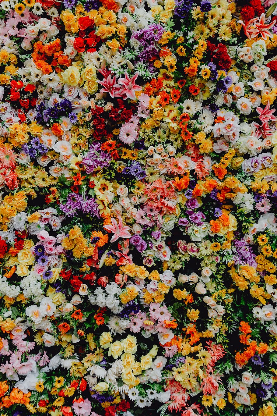 fest santo antonio, -, varios, pared de fondo de flores de color, museo, de, lisboa, portugal, flores, feriado
