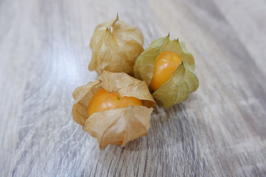goose berry, cape goose berries, cape gooseberry, gooseberry, food, food and drink, fruit, healthy eating, wood - material, indoors