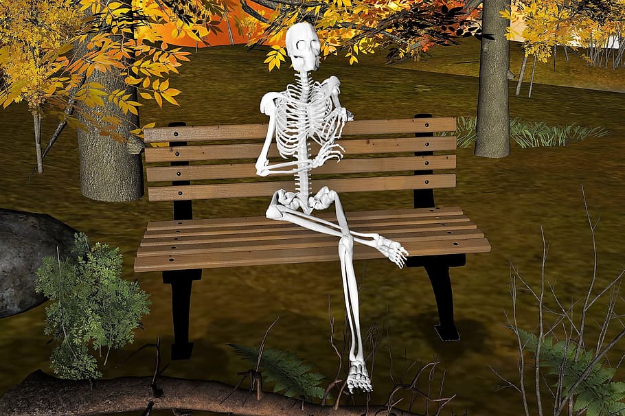 skeleton, bench, forest, fantasy, mysterious, surreal, creepy, halloween, 3drender, illustration