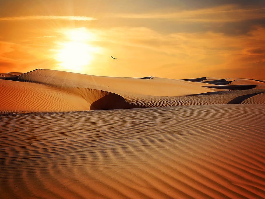 gurun, panas, melengkung, alam, lanskap, pasir, gundukan pasir, langit, matahari terbenam, scenics - alam