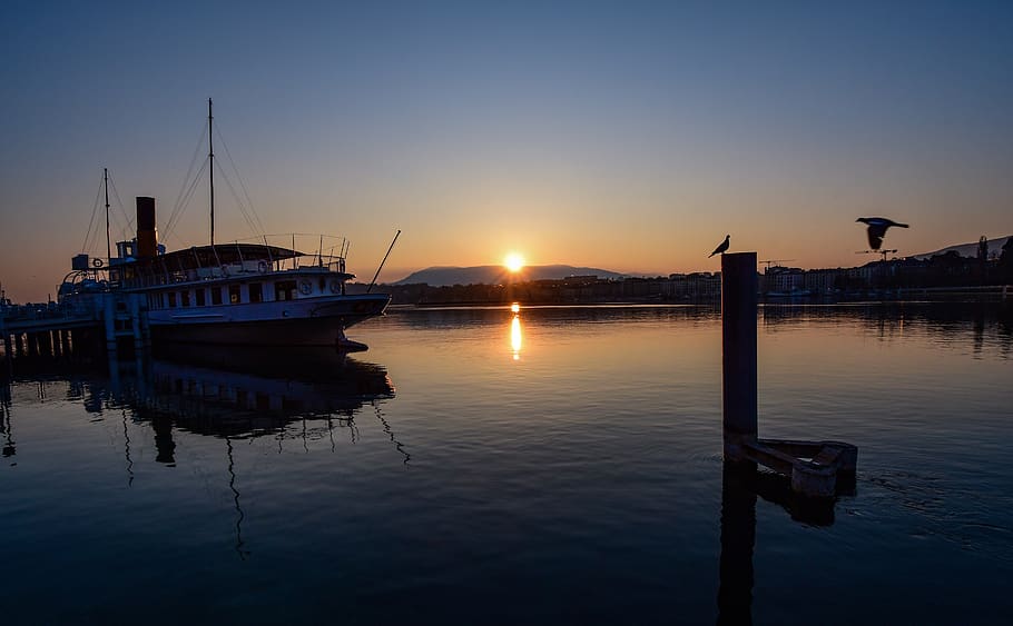sunrise, reflection, boat, calm, morning, landscape, birds, geneva, lake geneva, switzerland