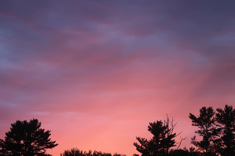 sunset, pink, yellow, clouds, cloudscape, trees, nature, landscape, beautiful, dusk