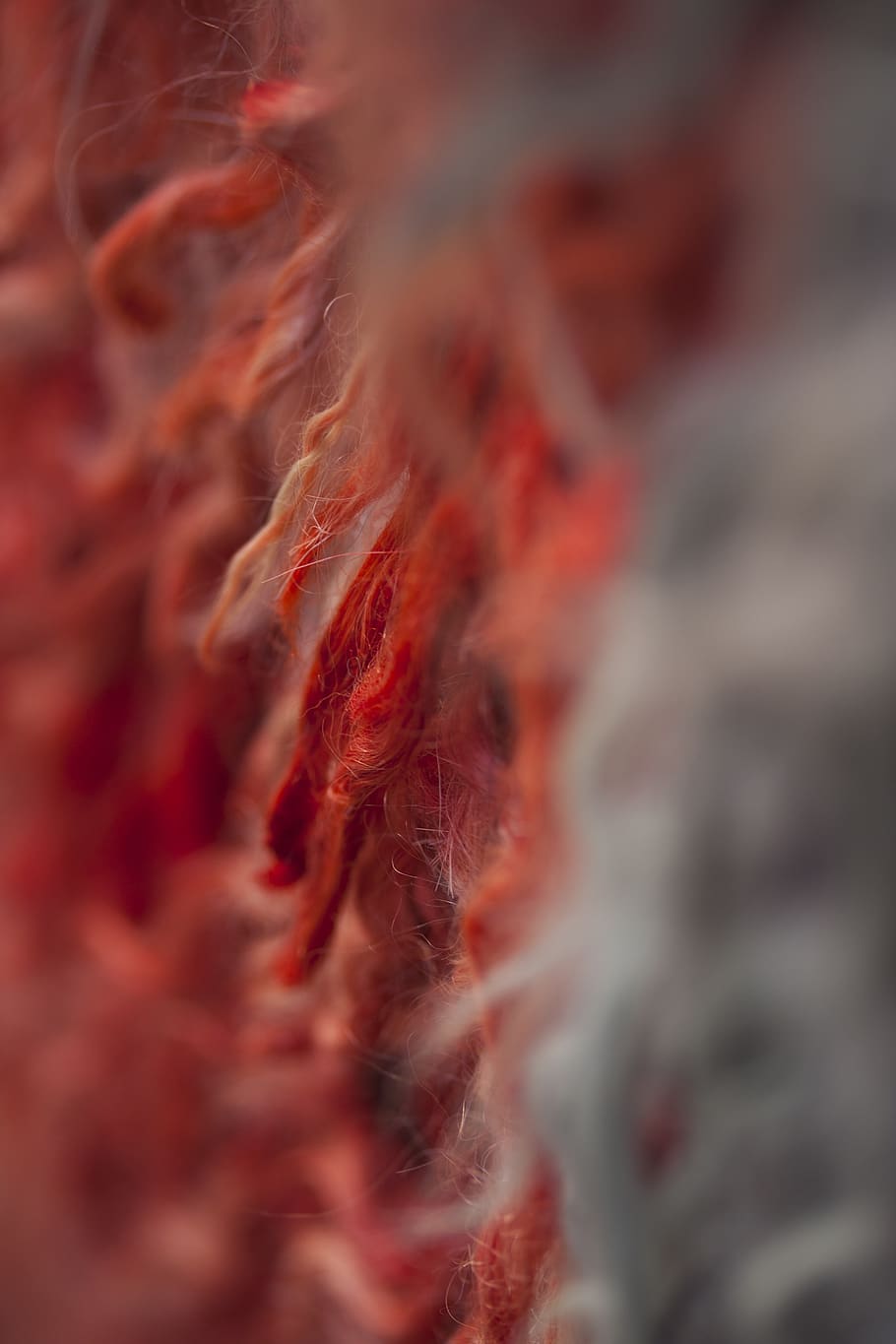 carpet, fabric, wool, texture, macro, red, detail, textile, model, weaving
