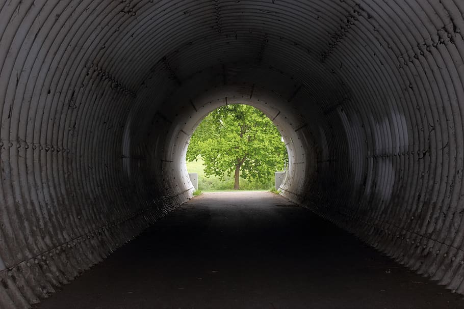 terowongan, pohon, terang, gelap, tengah, daun pohon, tabung, ujung, bagian, titik hilang