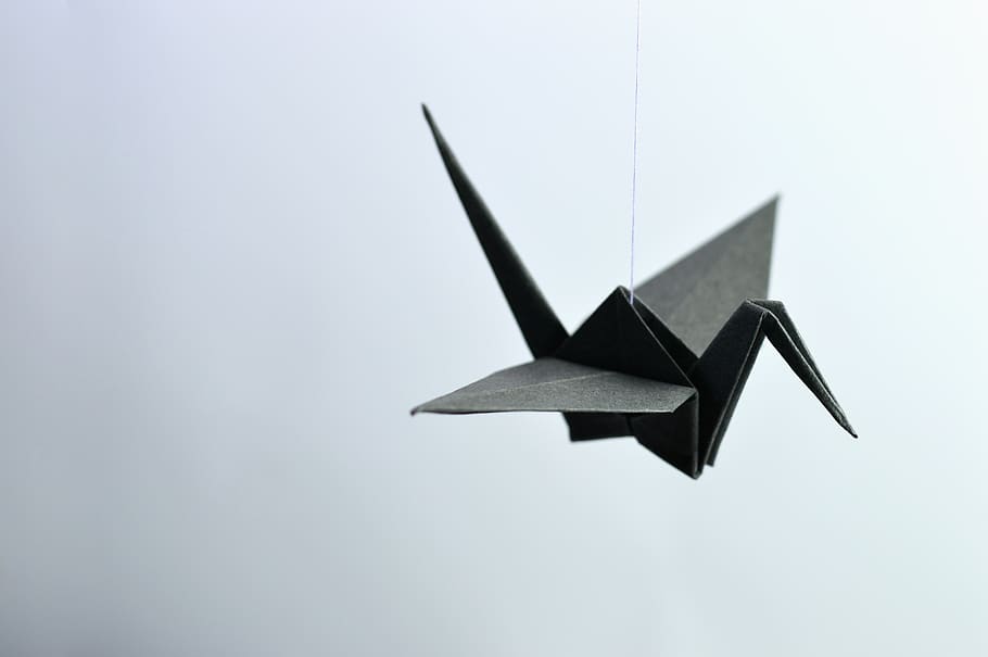 origami, paper, bent, wing, dom, ave, handmade, black, crane, east
