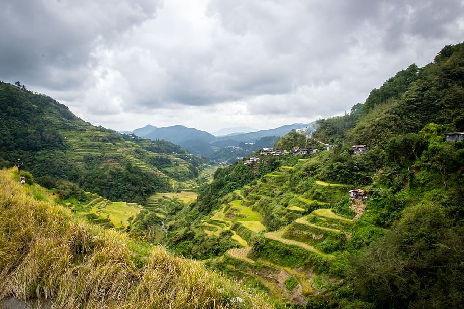 philippines, rice terraces, banaue, scenics - nature, cloud - sky, plant, beauty in nature, landscape, sky, environment