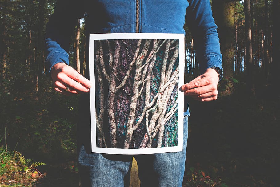 people, man, trees, woods, forest, photograph, print, travel, adventure, real people