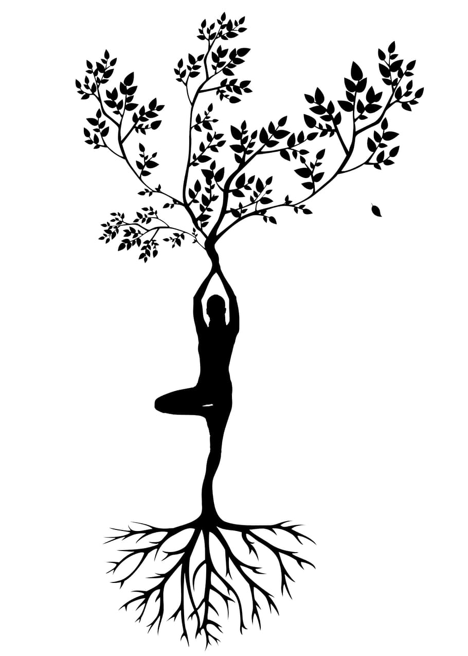 ilustración, yoga, orgánico, formas, árbol, raíces, fuerza, enraizado, pose, silueta