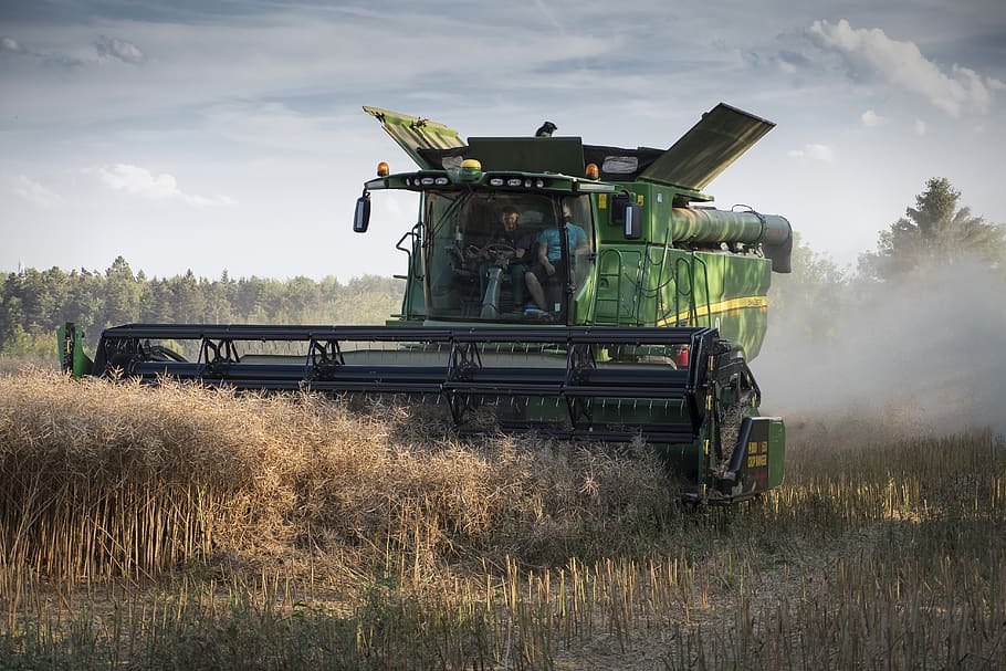 harvest, combine harvester, wheat harvest, machine, cereals, wheat, field, land, sky, plant