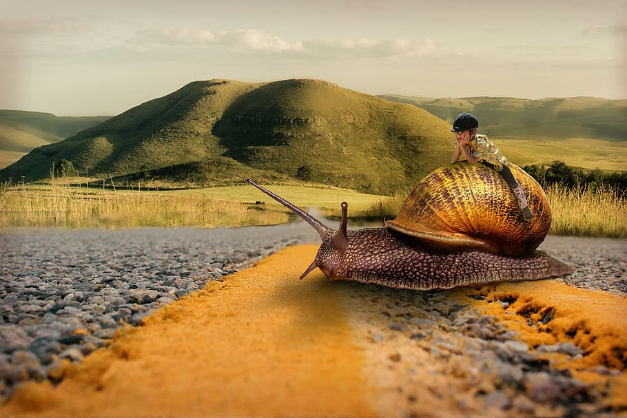 snail, girl, patience, ride, road, slowly, fantasy, surreal, photoshop, composing