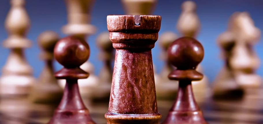 xadrez, conselho, marrom, negócio, desafio, tabuleiro de xadrez, inteligente, competição, conceito, decisão