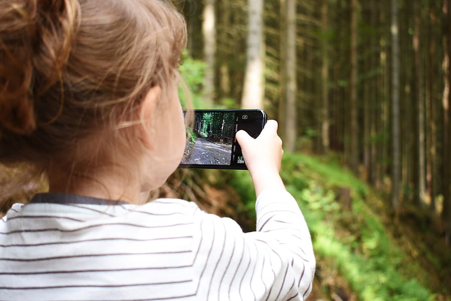 ponsel, foto, fotografi, smartphone, anak, gadis, mengambil foto, alam, hutan, hijau