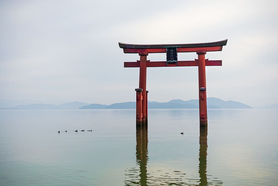 torii, sea, japan, shrine, lake biwa, lake, shiga, water, religion, waterfront