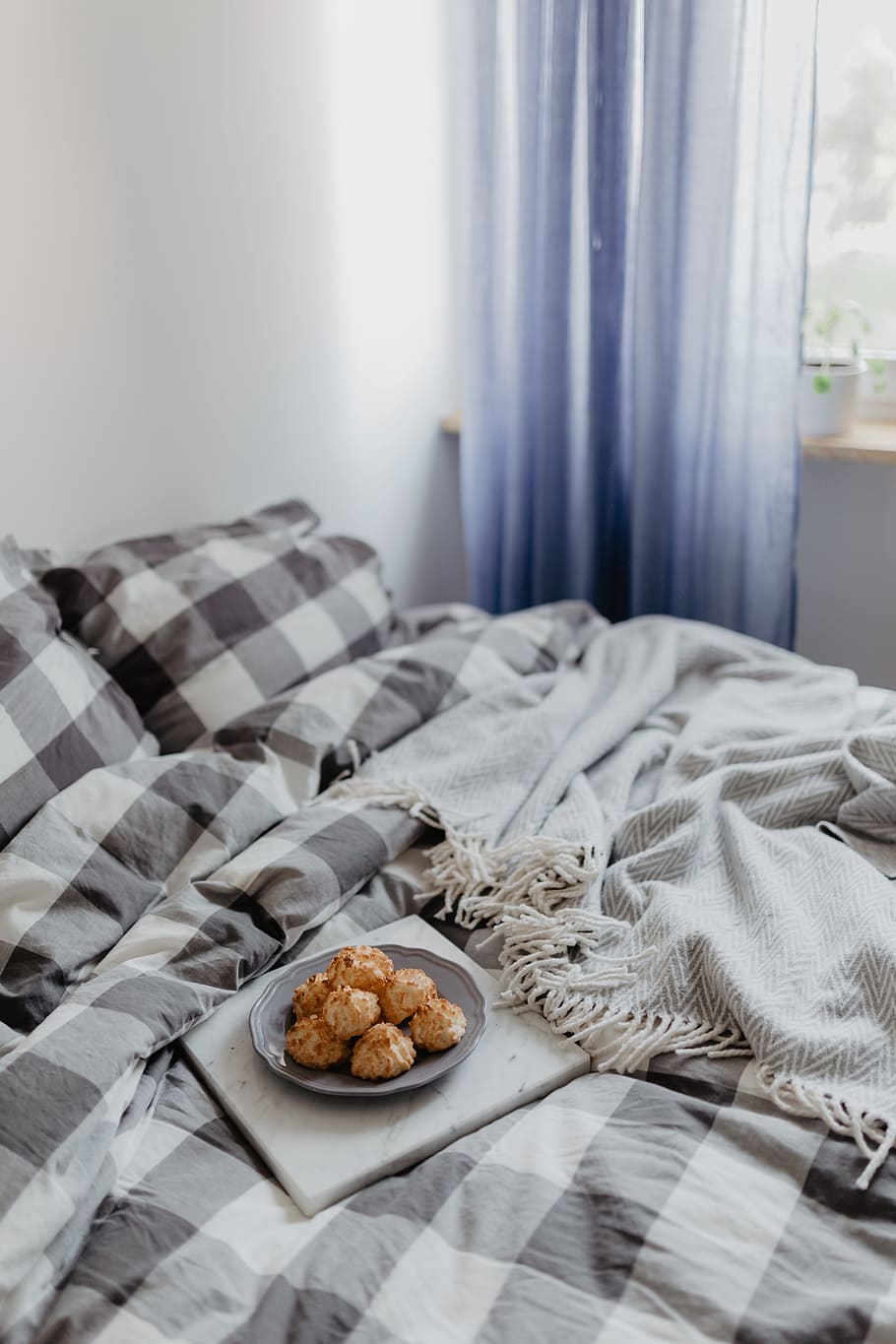 azul, almofadas, tapete, café, manhã, pausa, cama, biscoitos, roupa de cama, quarto