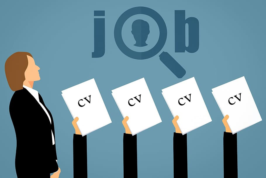 illustration, job seeker, sea, resumes, job, search, hr, cv, opportunity, recruitment