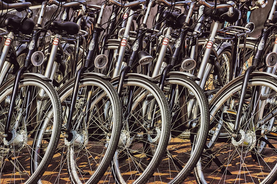 bicycles, rent, cycling, wheel, tourism, vehicle, traffic, infrastructure, navigation, wheels