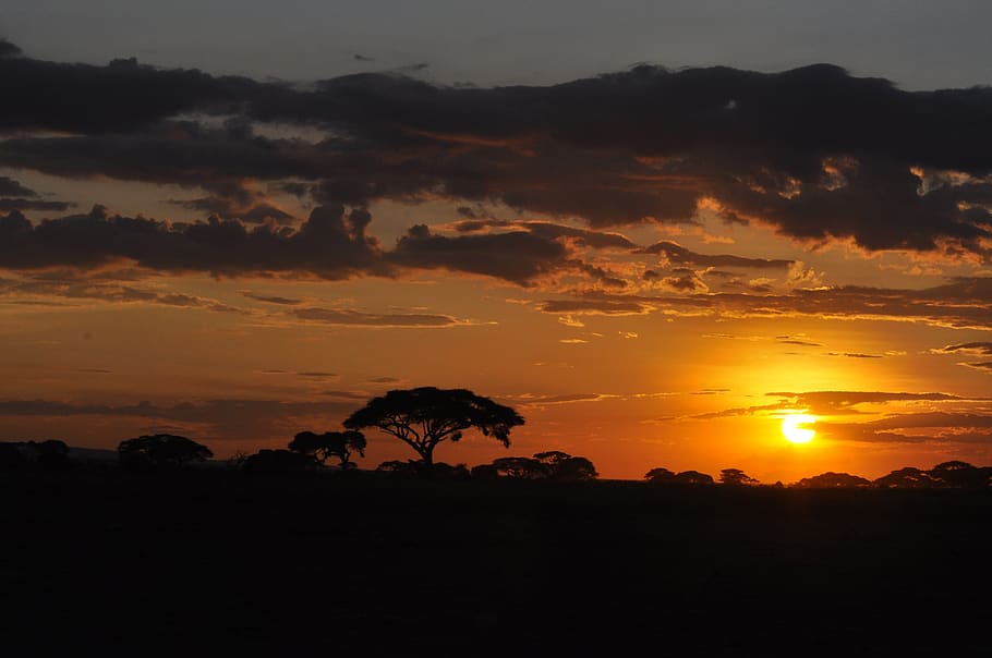 sunset, kenya, africa, nature, landscape, silhouette, outdoors, beauty in nature, sky, scenics - nature