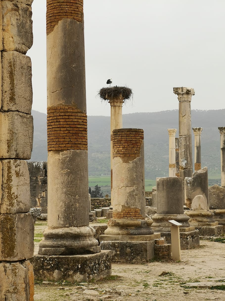 volubilis, stones, romans, morocco, stone, antiquity, old, storks, wall, architecture