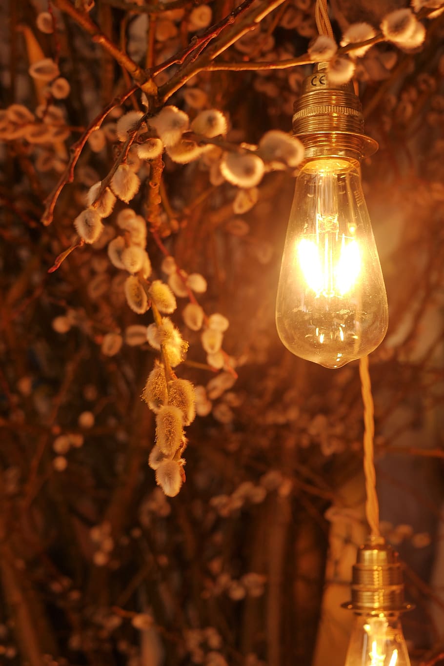 decoration, light bulb, lighting equipment, electricity, illuminated, focus on foreground, close-up, hanging, glowing, light